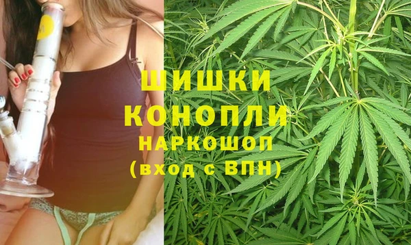 индика Богородицк